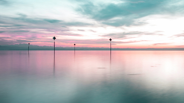 Kongressforschung am Bodensee